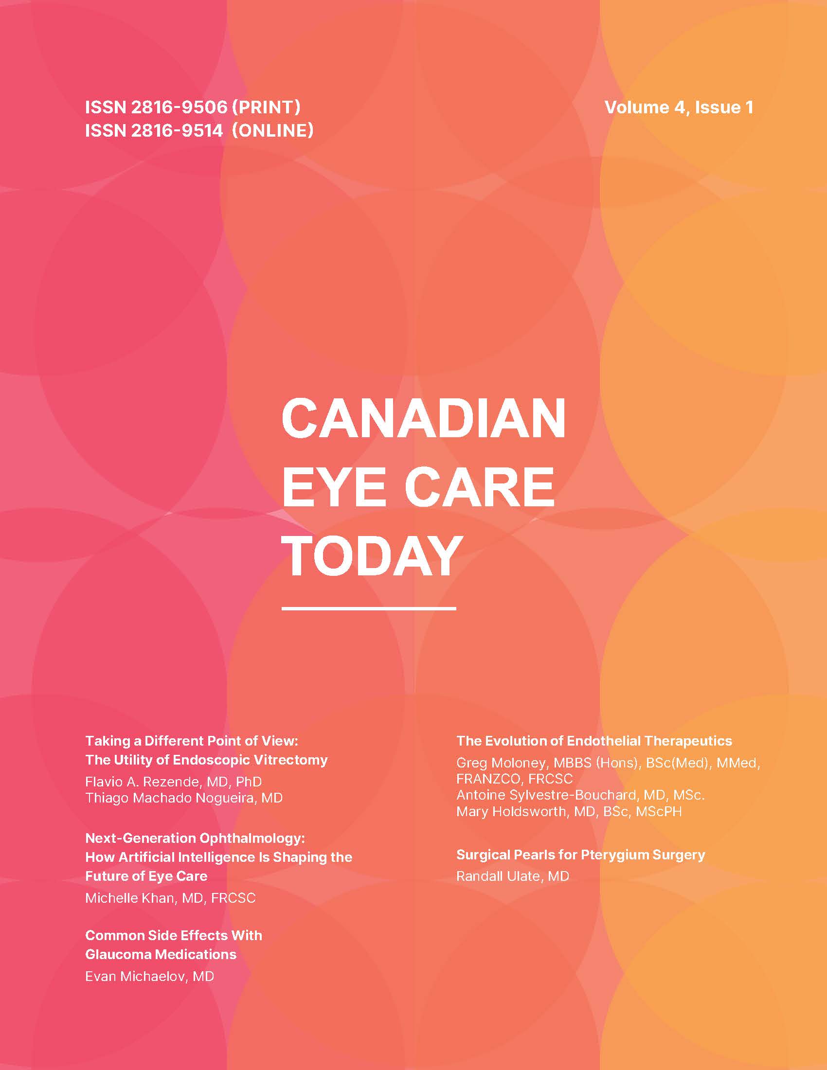 					View Volume 4, Issue 1, Spring 2025
				