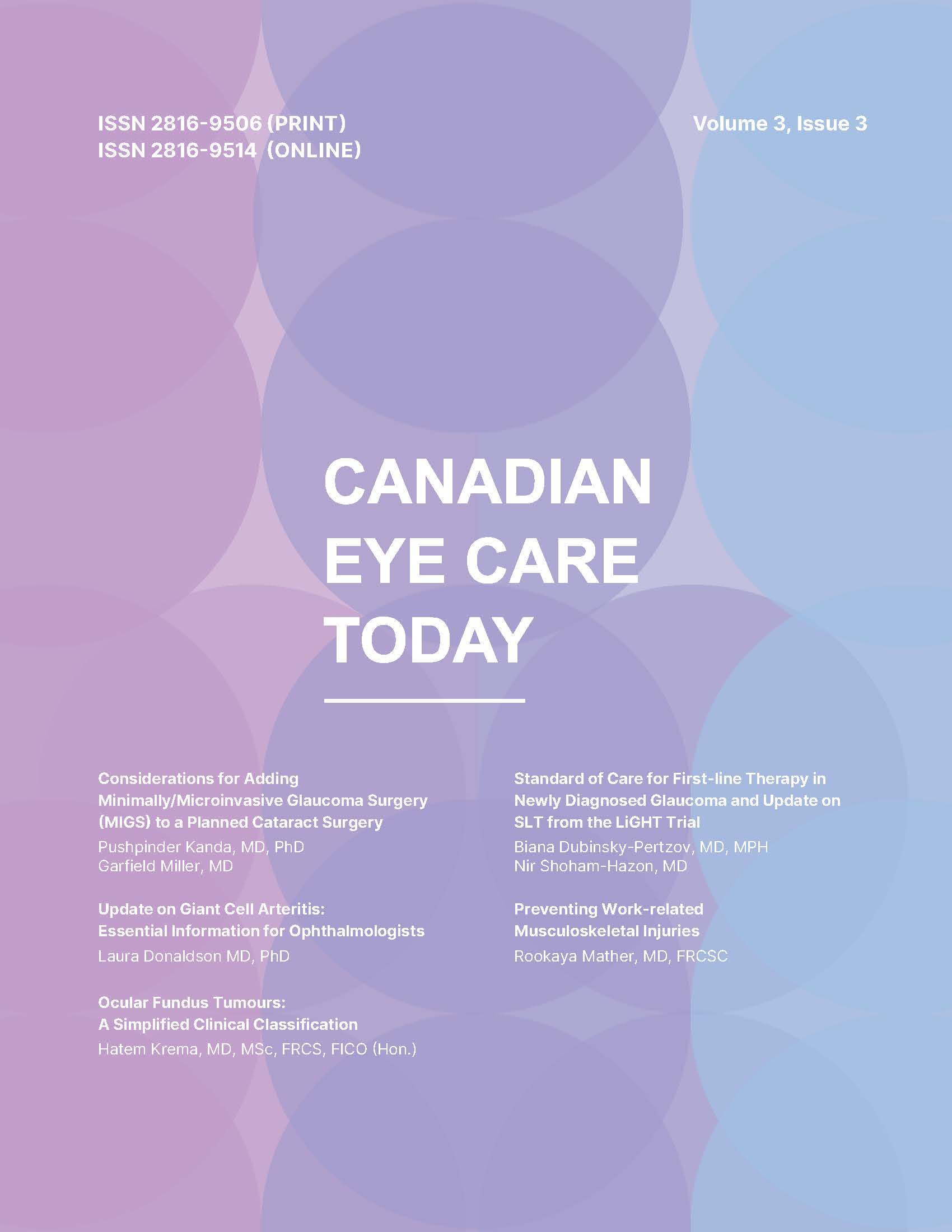 View Volume 3, Issue 3, Fall 2024